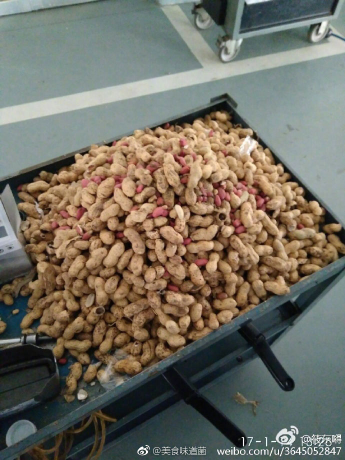 国产精品香蕉