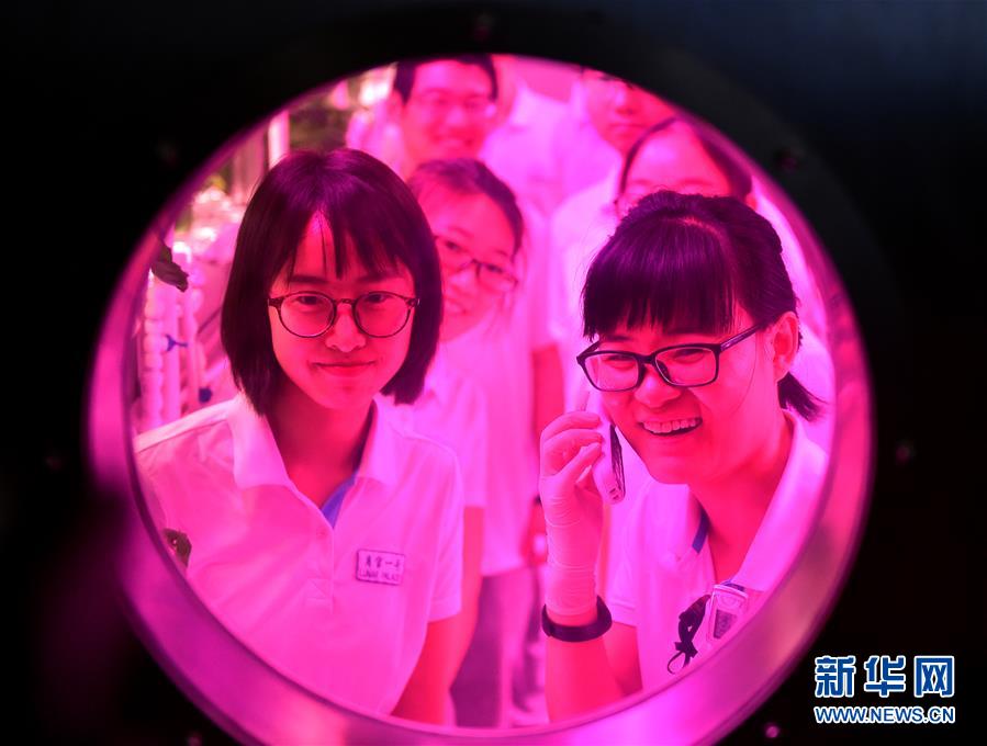 娇小videodes性爽HD的特点与评价