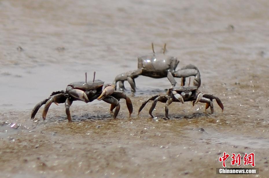 浪货趴办公桌～H揉秘书