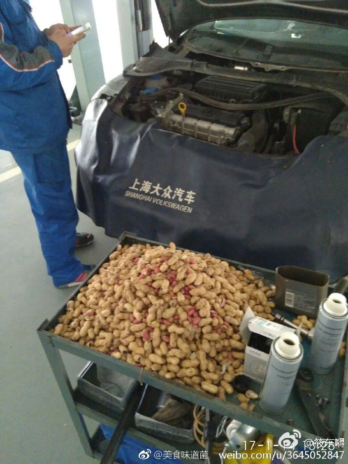 韩国三级黄色网站