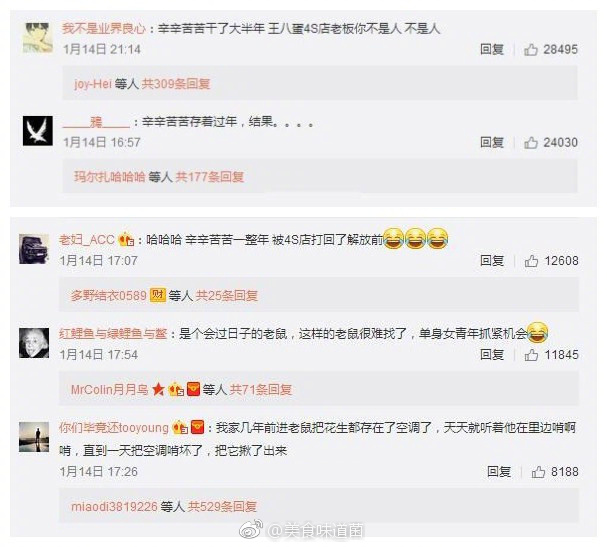 在线二区
