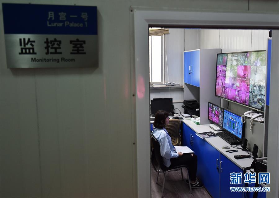 黄色软件3
