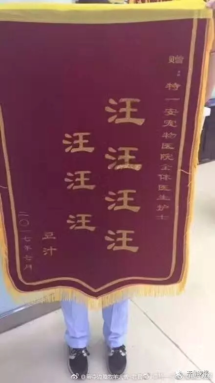 若月瑪麗亞