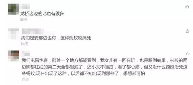 成人 网 战