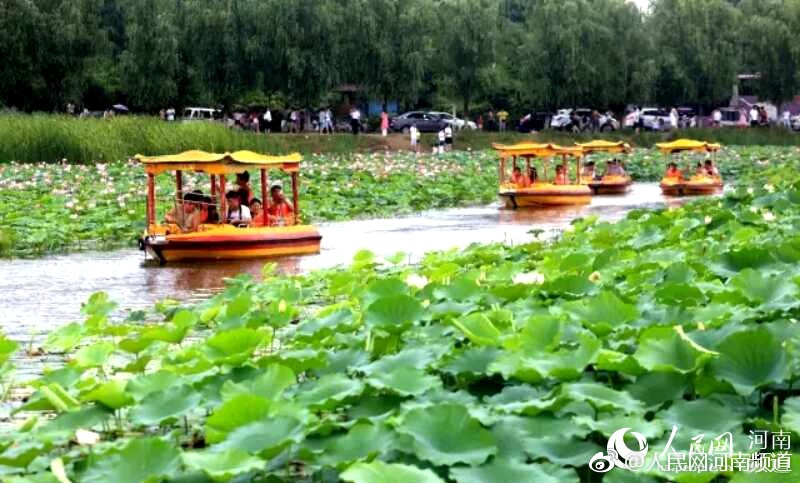 仁科百華流出