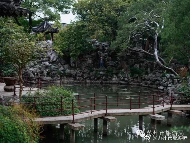冬月枫