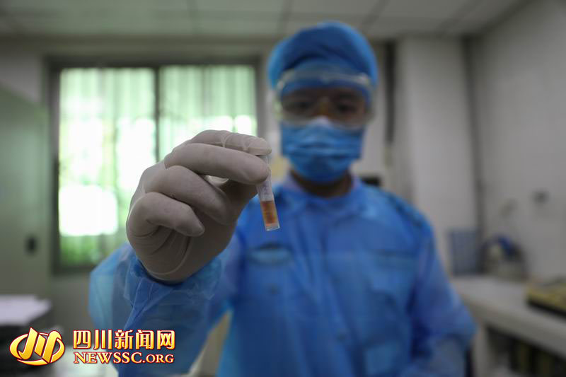 色情 直播 大全