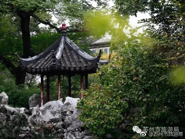 国产精品秘 久久久久久