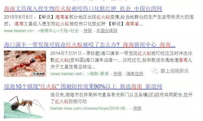 中国免费看三级黄片