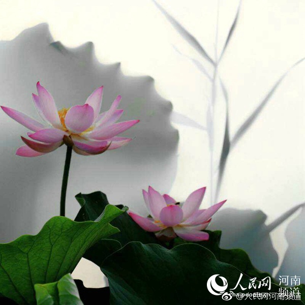 免费黄色一级片