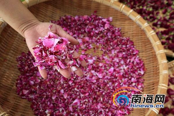 毛片