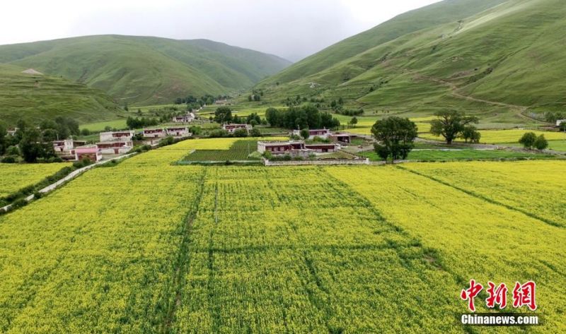 高清 性爱