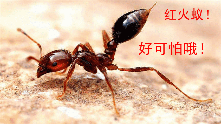 男人添女人全过A片