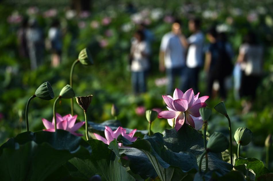 中国美男同性短剧一级色今