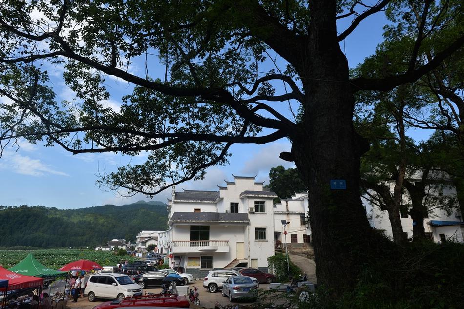 黄色视频片高清