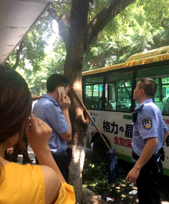 韩国演艺圈悲惨事件