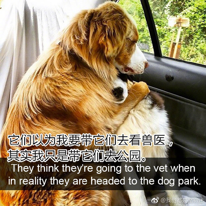 校花 被c真人