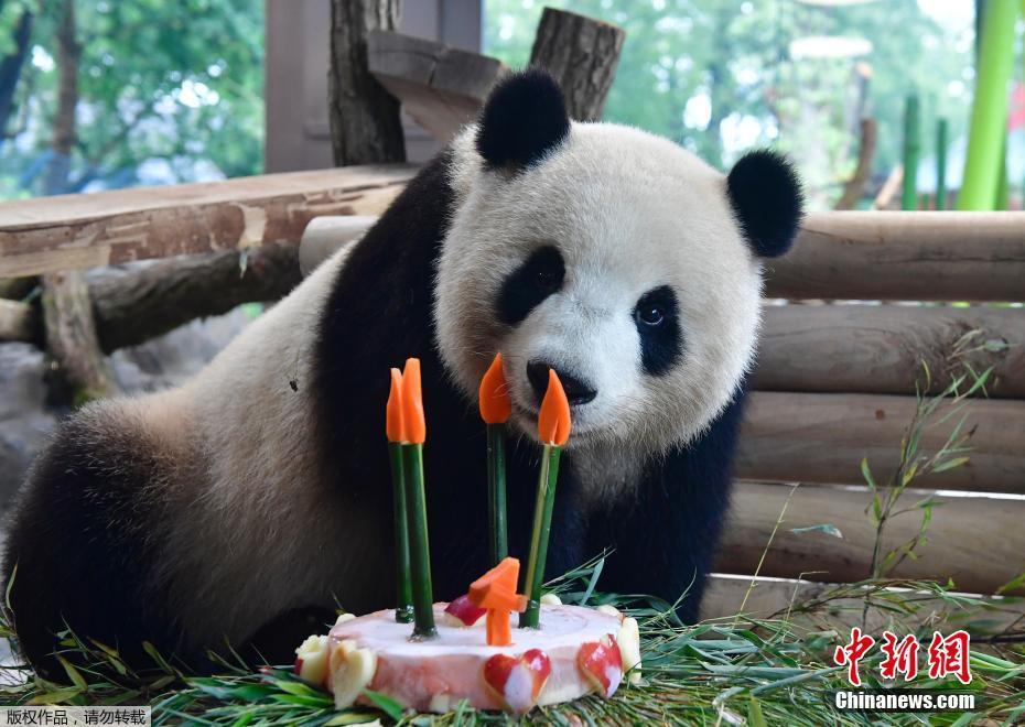 欧美成人a级做爱