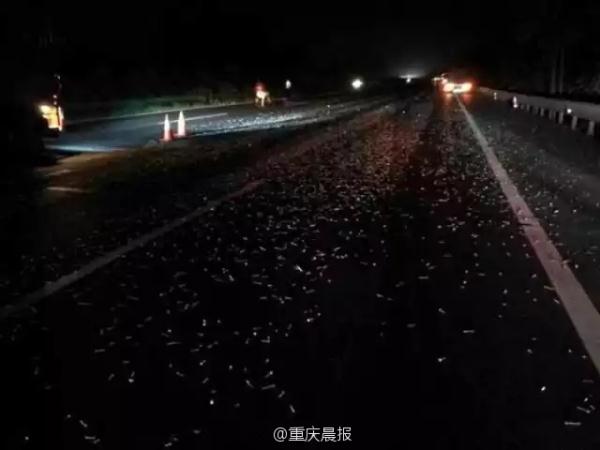 黄片小电影在线观看无码