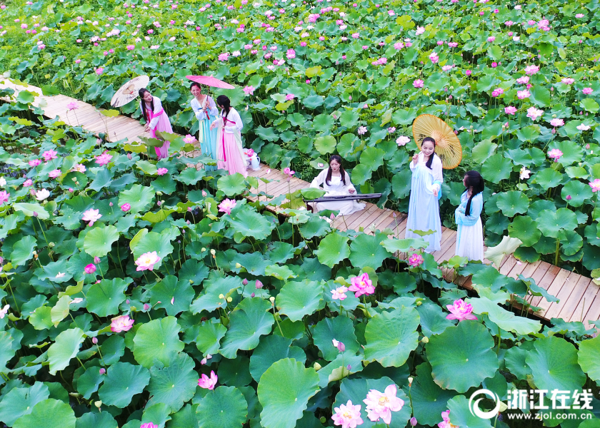 小西悠