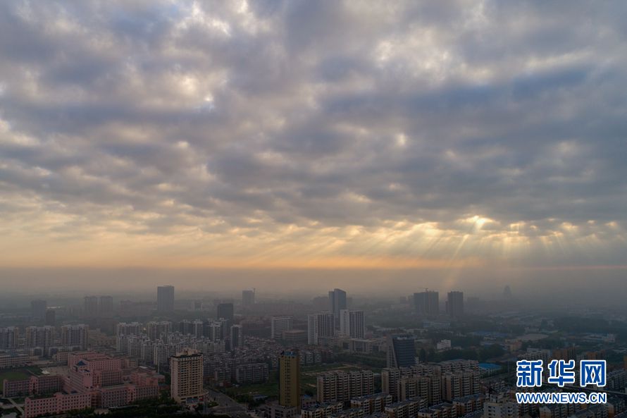 动态图