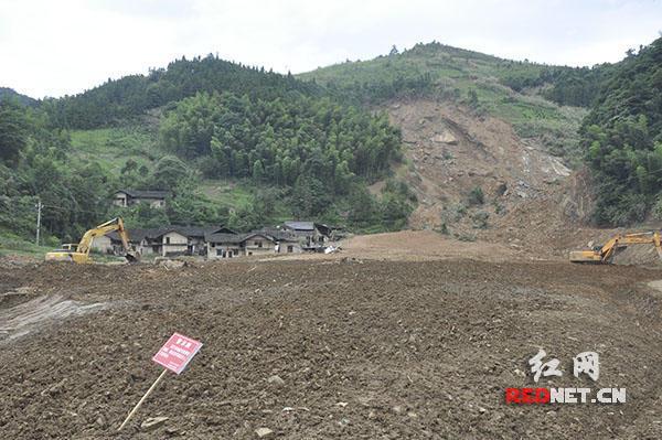 欧美黑妇一区