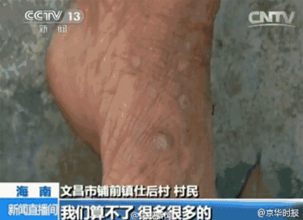 99精品视频在线观看
