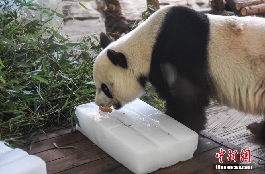 亚洲福利网