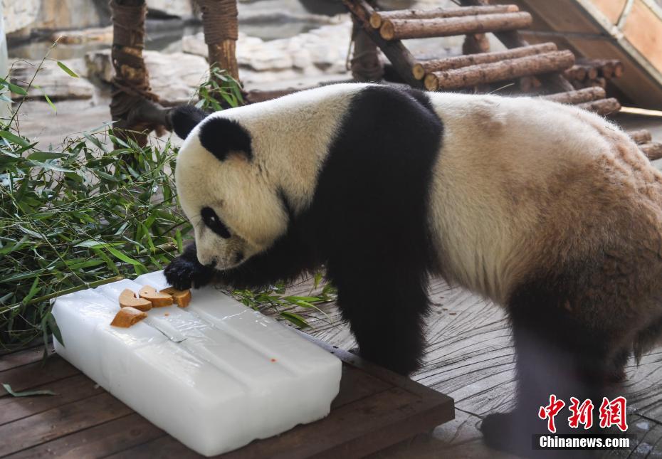 一级A片亲子乱
