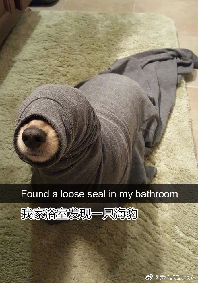 黃艾比