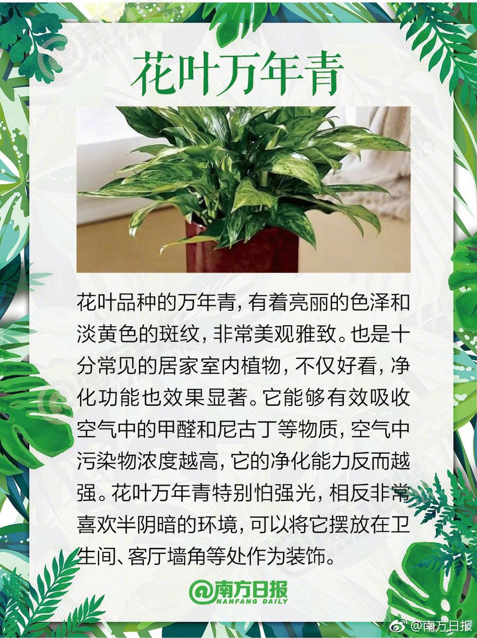 冰火两重天