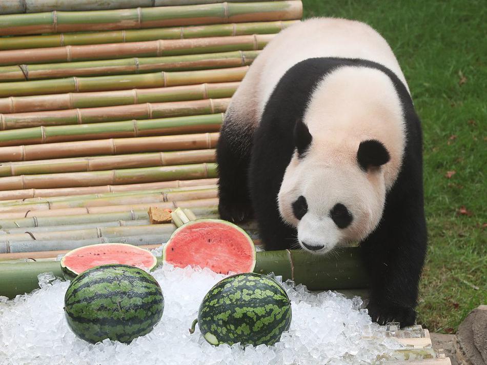 欧美成年人的性生活片