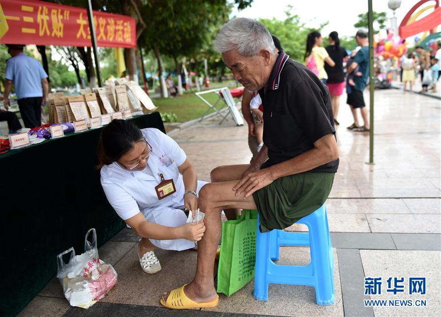 无码伦理片在钱