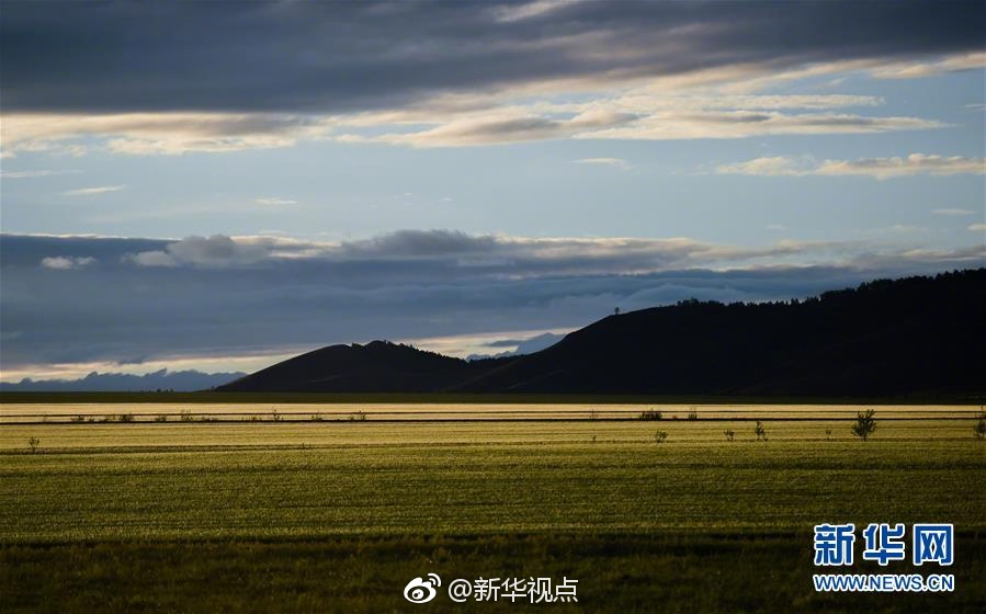 黄色十八禁小网站