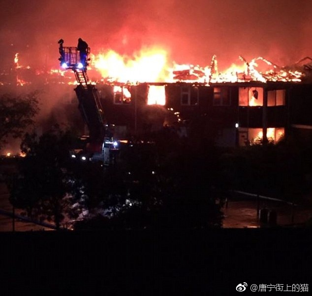 东京热app免费版下载