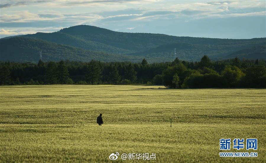 不知火舞十八禁?喷水视频