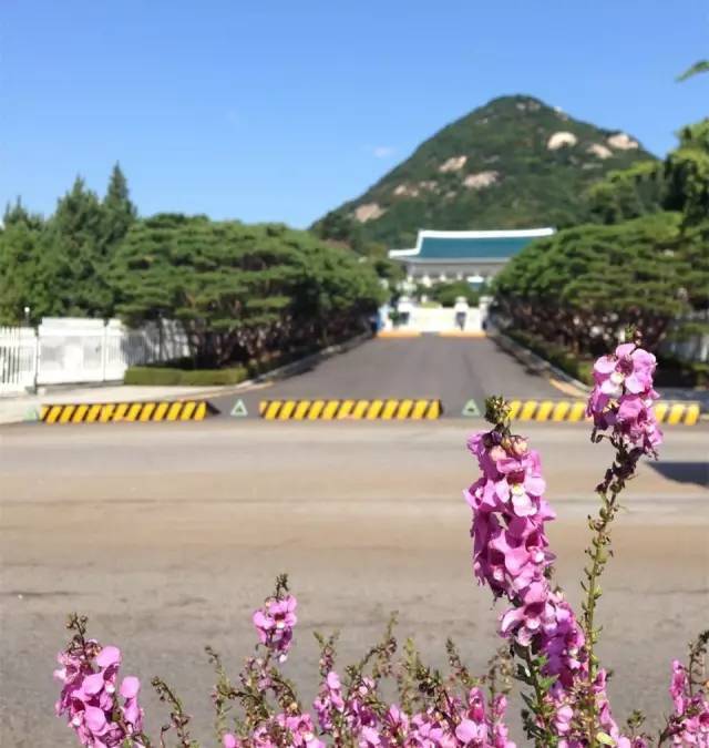 韩国本地人口_韩国人口变化趋势图(3)
