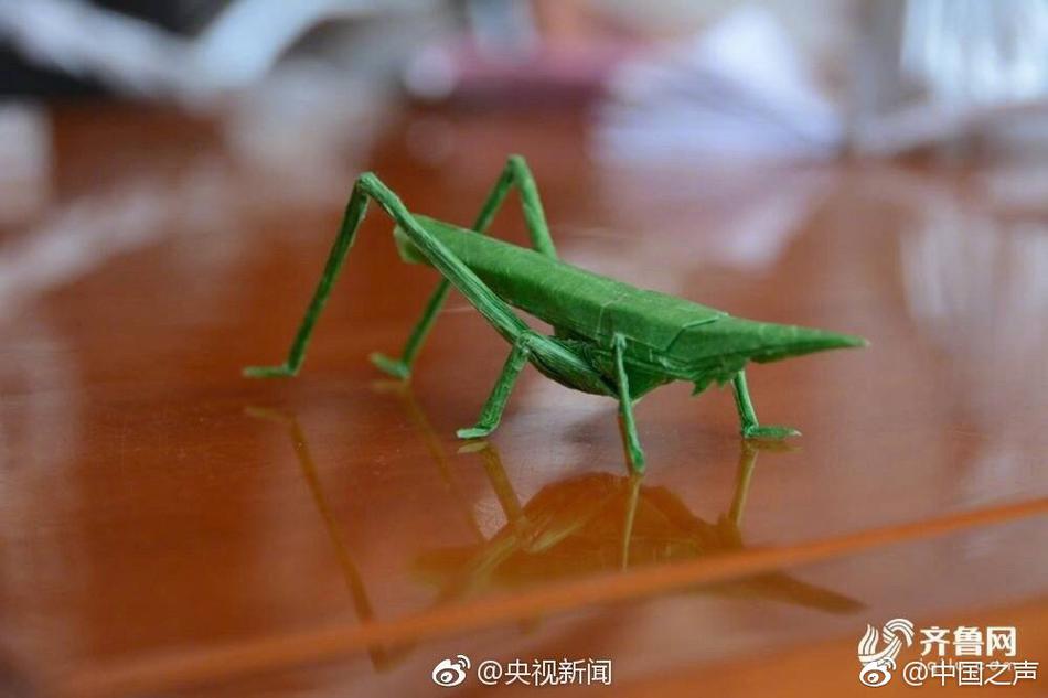 河南少妇搡BBBB搡BBBB