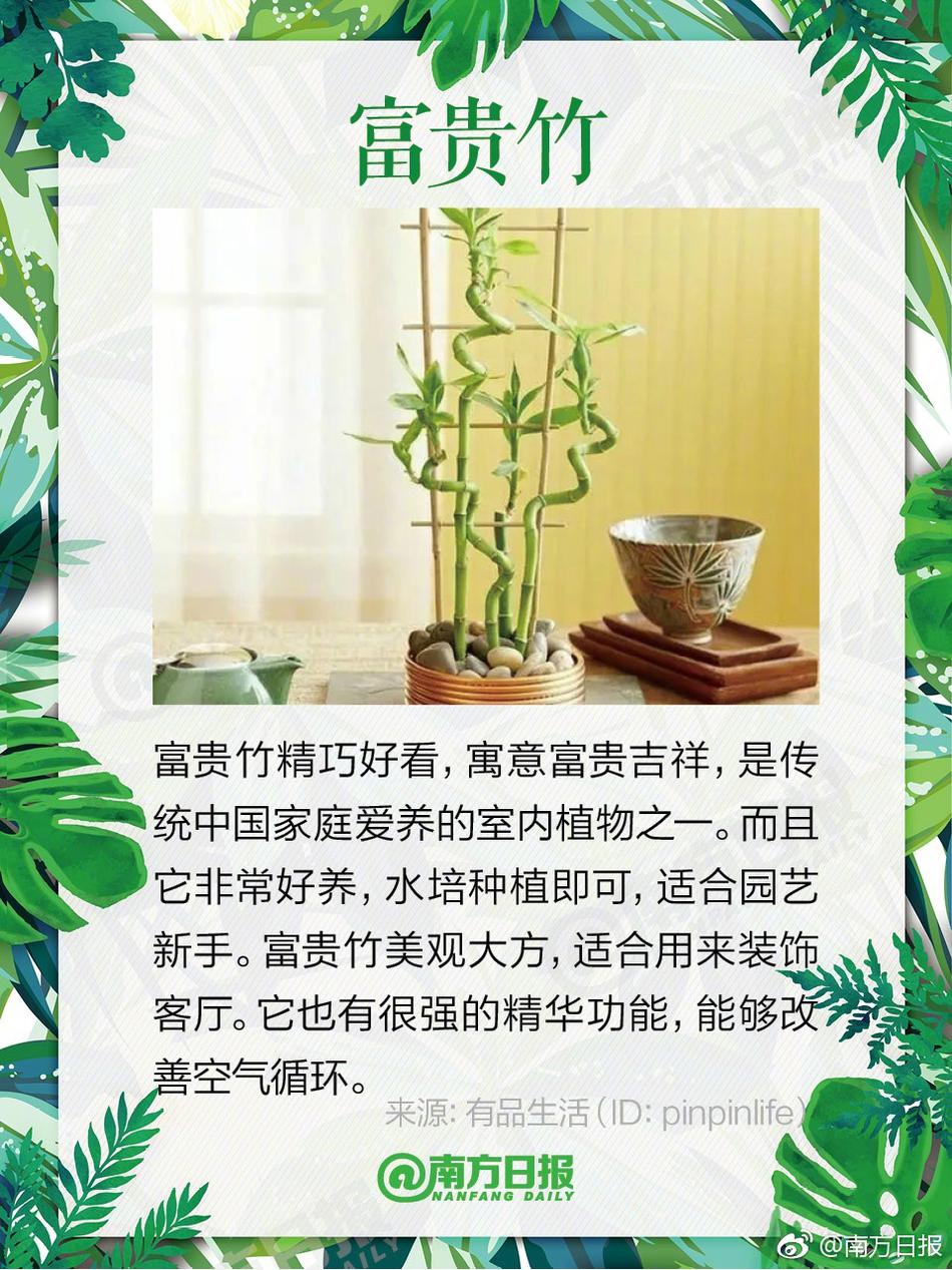 阿 老 妇 乱 视频海角社区