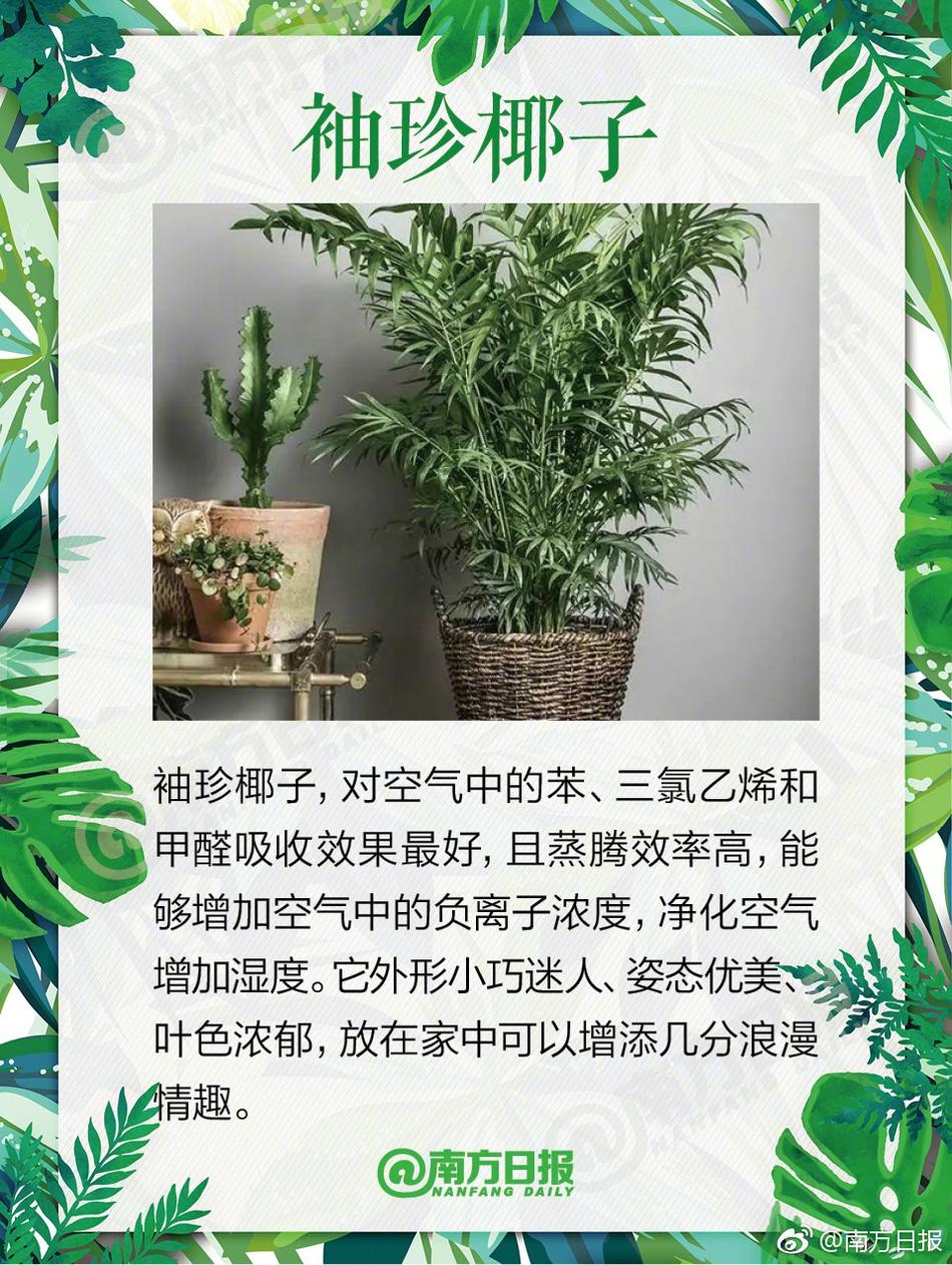 中国老太婆操B視频