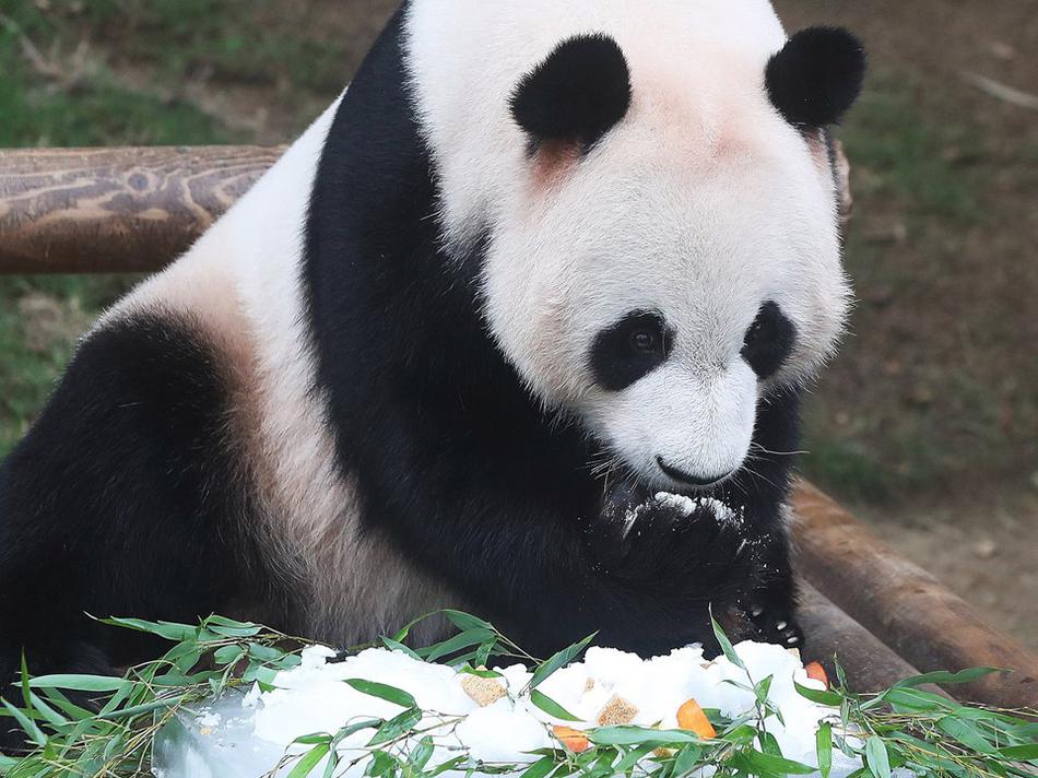 偷拍另类熟女