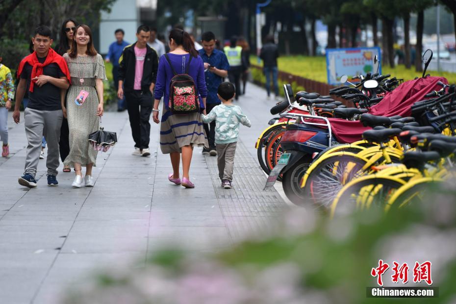黄色视频网站在线播放