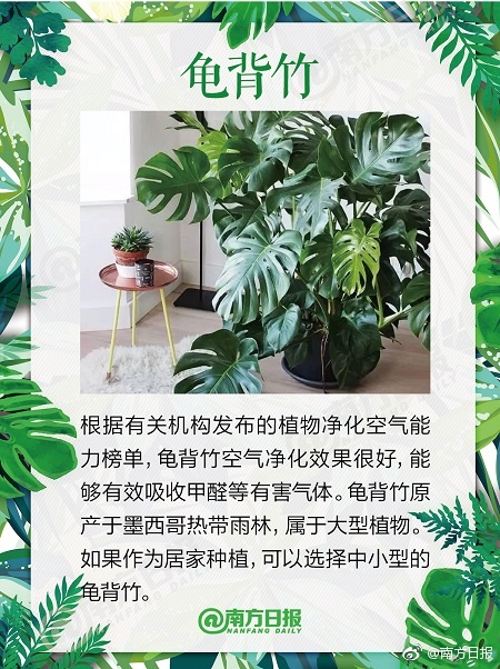 李小璐的奶真大真紧好爽