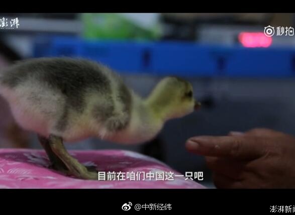 正面偷拍工地女厕201314
