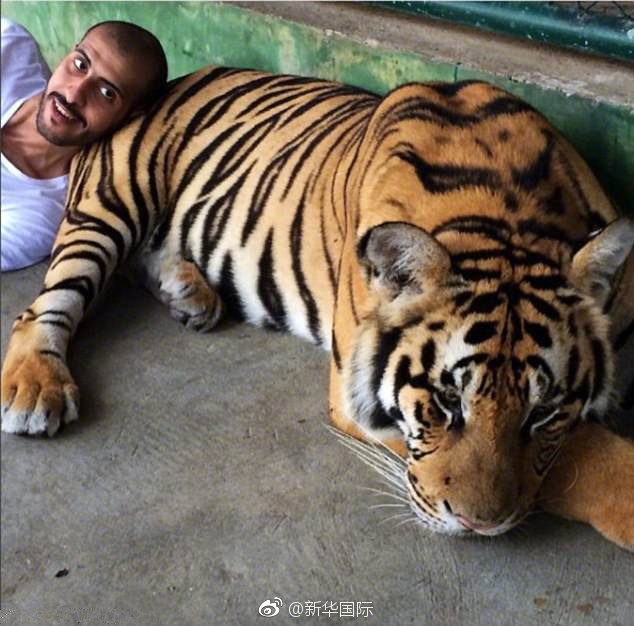 啪啪啪研习所