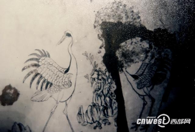 在线免费看黄
