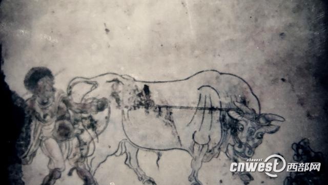 日韩网