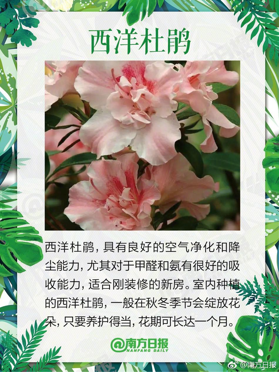 乡村乱操B