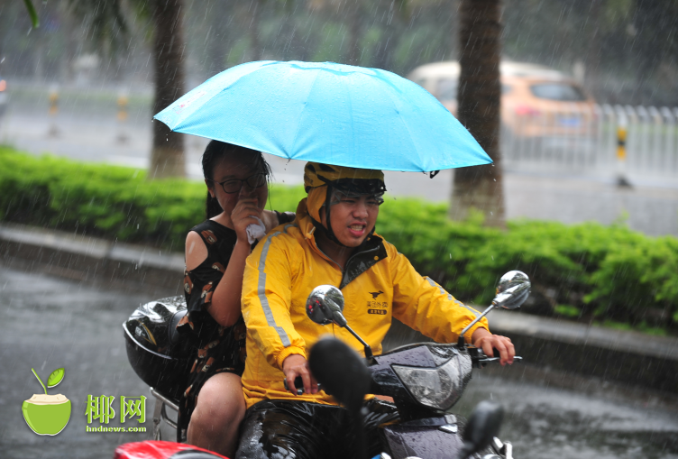甘雨被盗宝团挤扔