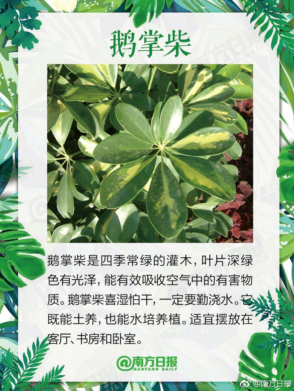 黄漫18禁免费无码观看